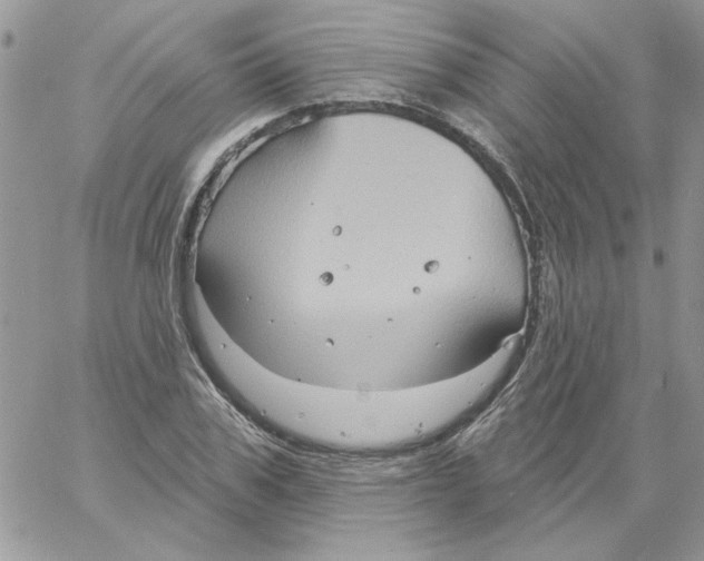 X0000061750979200512302233