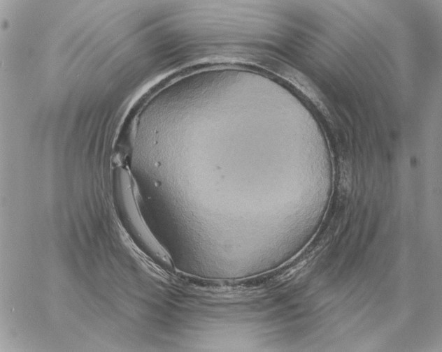 X0000061750980200512302233