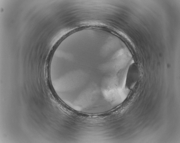 X0000061750983200512302233