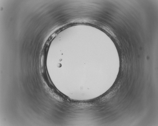 X0000061750984200512302233