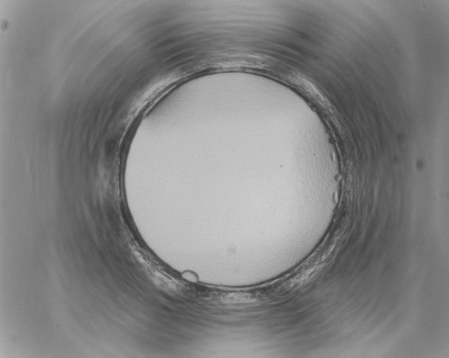 X0000061750986200512302233