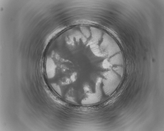 X0000061750987200512302233