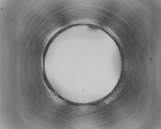 X0000061750988200512302233