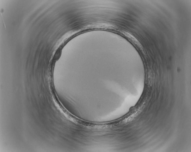 X0000061750989200512302233