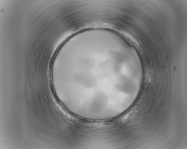 X0000061750990200512302233