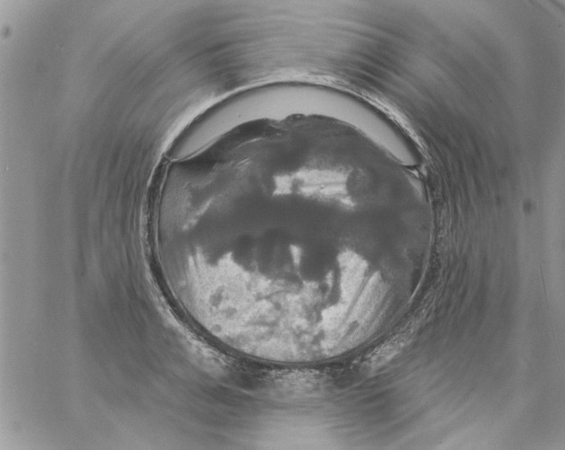 X0000061750991200512302233