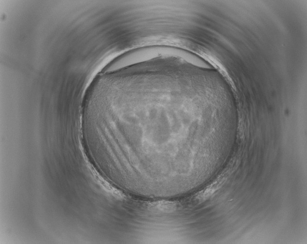 X0000061750992200512302233