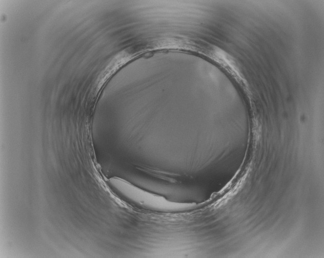 X0000061750993200512302233