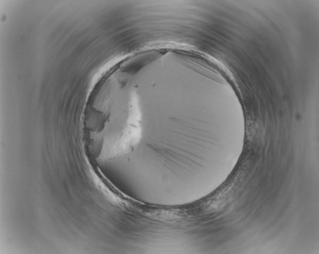 X0000061750995200512302233