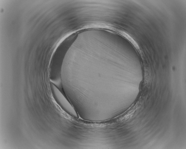 X0000061750996200512302233