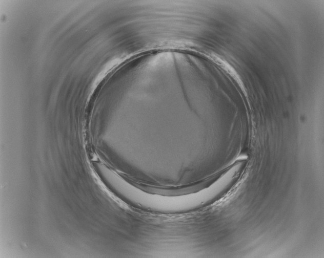 X0000061750997200512302233