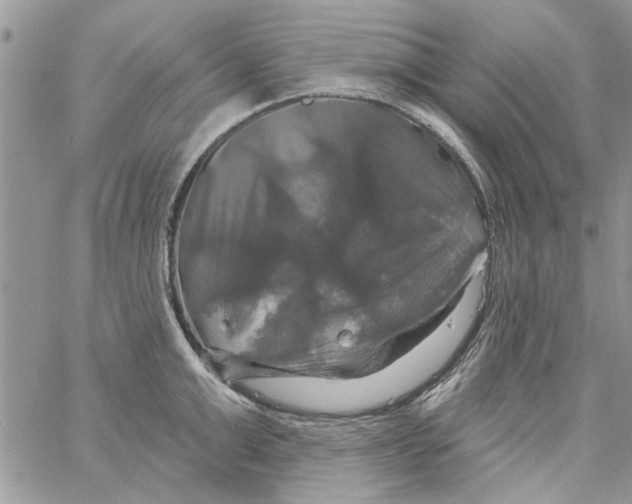 X0000061750999200512302233