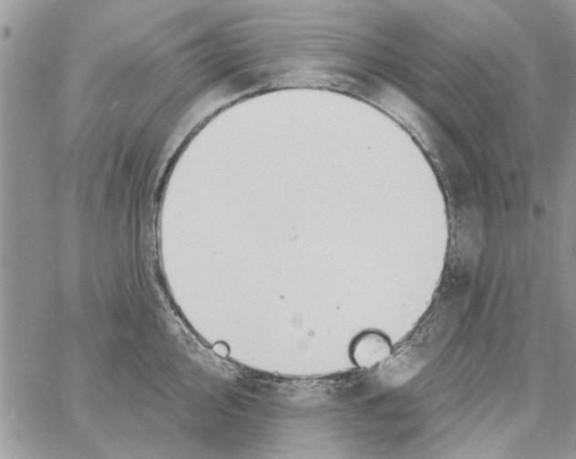 X0000061751000200512302233