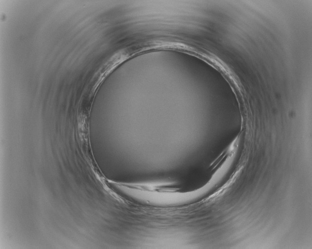 X0000061751001200512302233