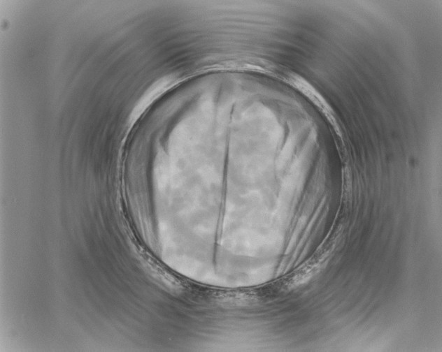 X0000061751002200512302233