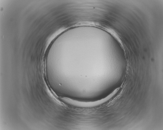 X0000061751003200512302233