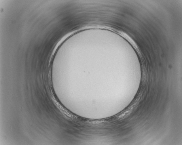 X0000061751004200512302233