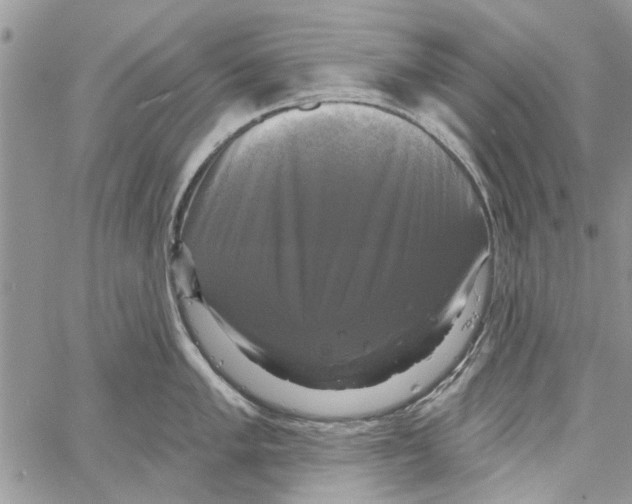 X0000061751005200512302233