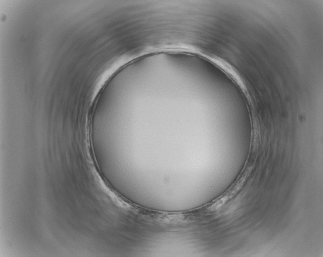 X0000061751006200512302233