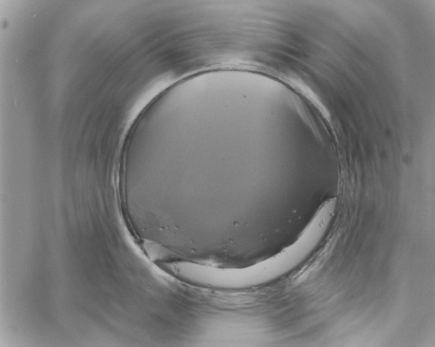 X0000061751007200512302233