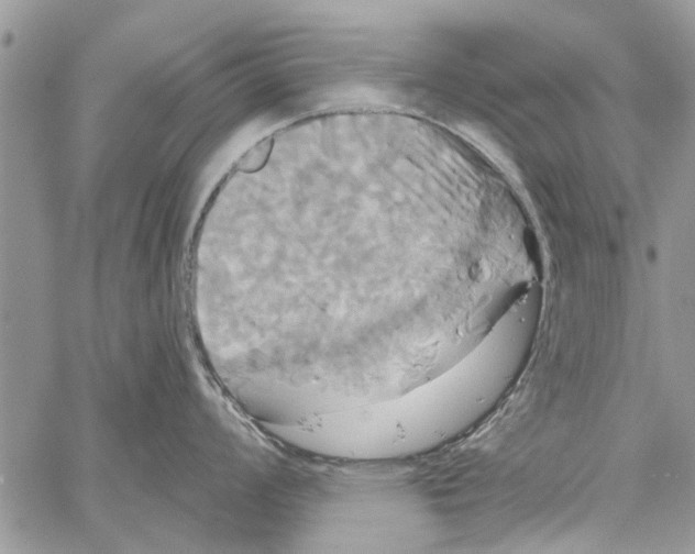 X0000061751008200512302233