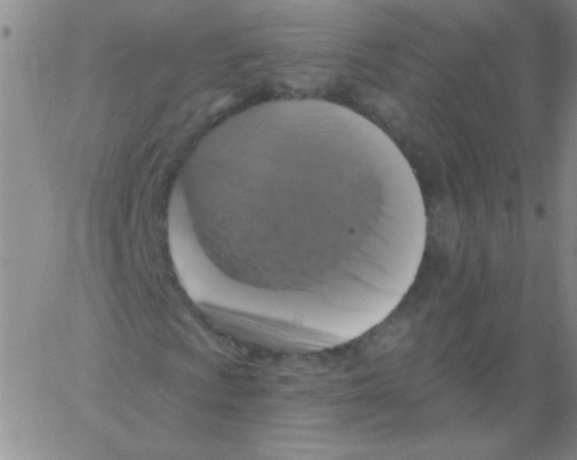 X0000061751009200512302232