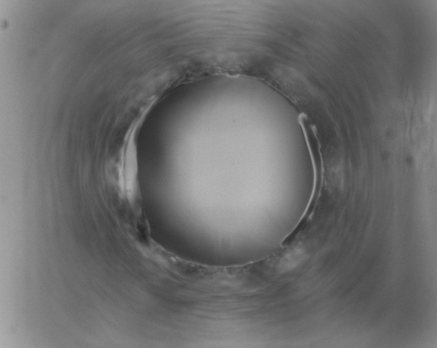 X0000061751010200512302232