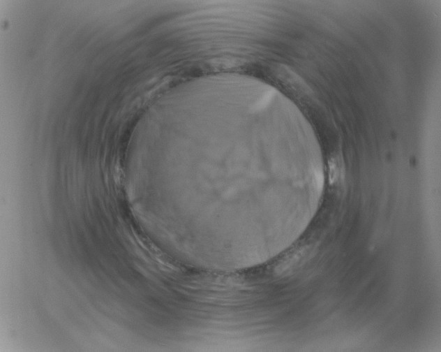 X0000061751011200512302232