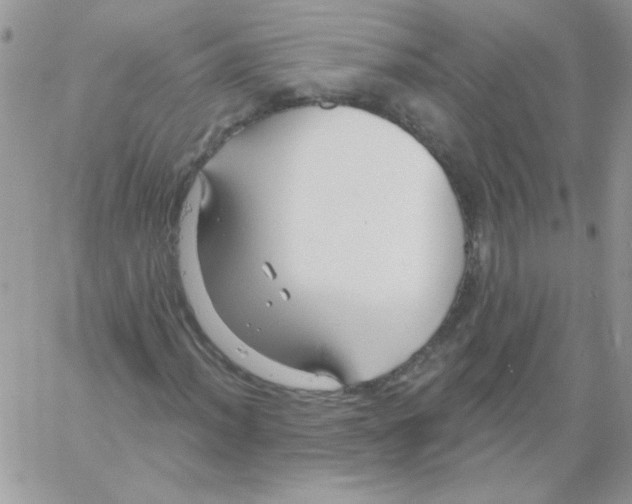 X0000061751012200512302232