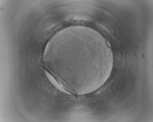 X0000061751013200512302232