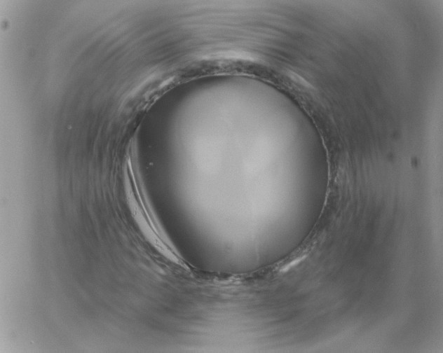 X0000061751014200512302232