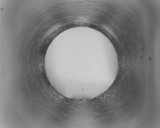 X0000061751015200512302232