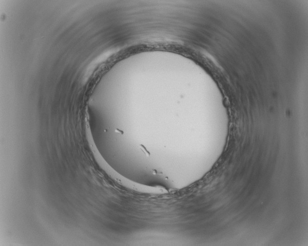 X0000061751016200512302232