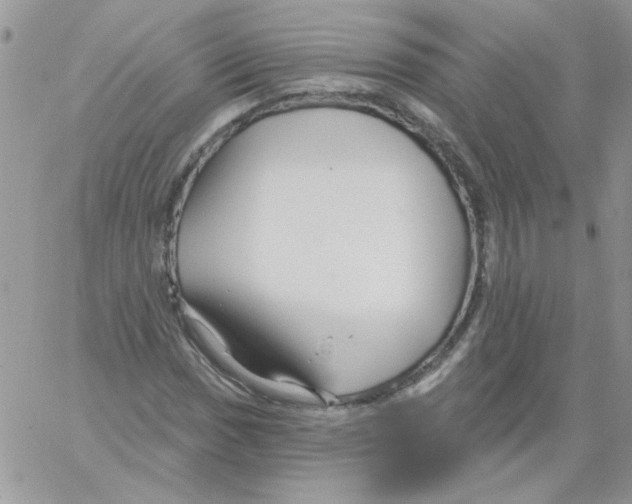 X0000061751017200512302232