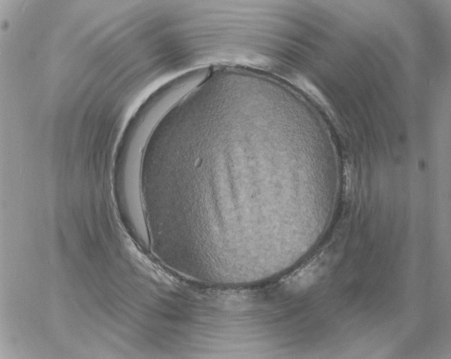 X0000061751020200512302232