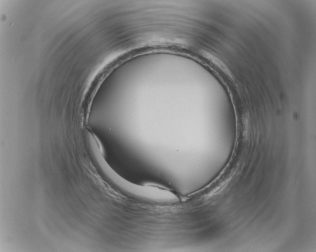 X0000061751021200512302232