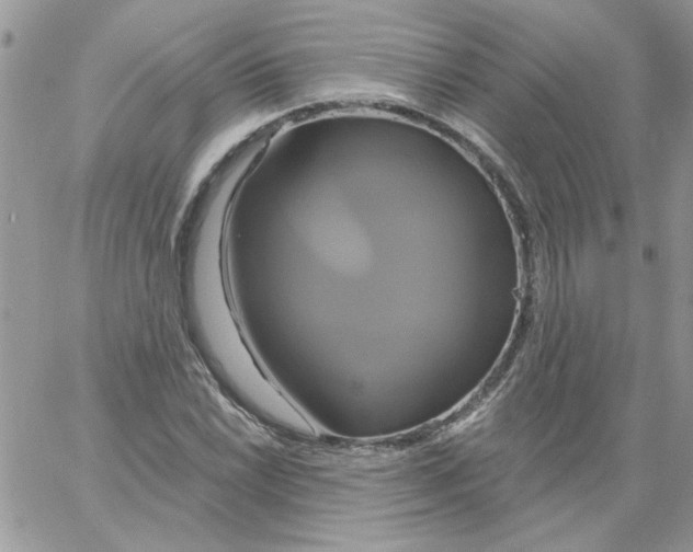 X0000061751022200512302232