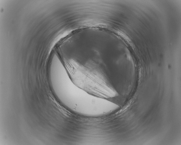 X0000061751023200512302232