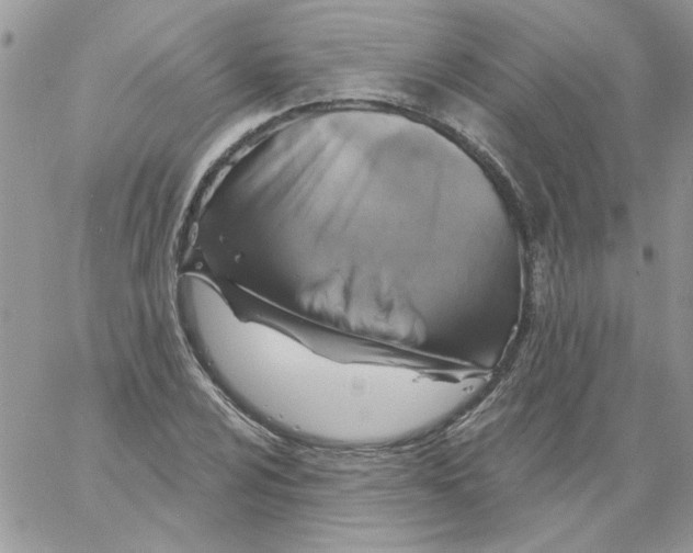 X0000061751024200512302232