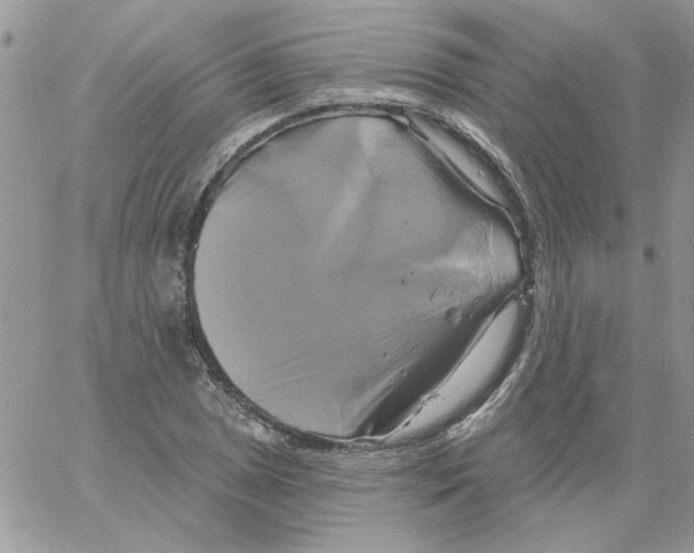 X0000061751025200512302232