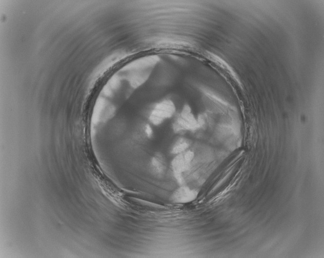 X0000061751027200512302232