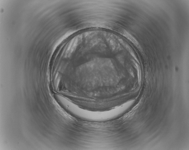 X0000061751028200512302232