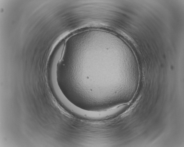 X0000061751029200512302232