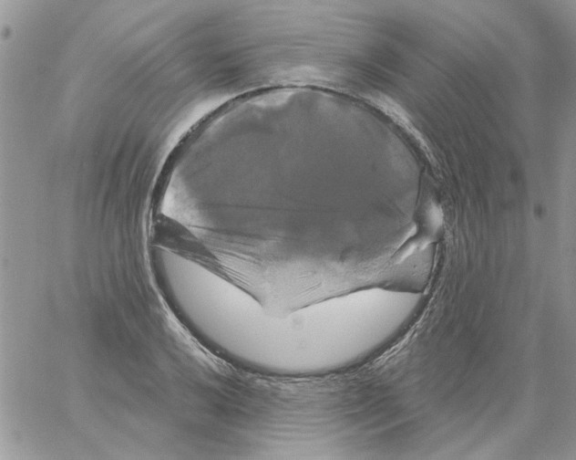 X0000061751032200512302232