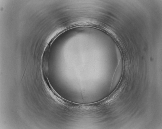 X0000061751034200512302232