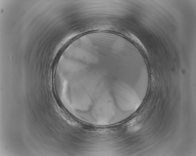 X0000061751035200512302232