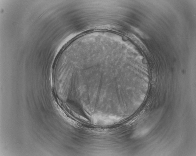 X0000061751036200512302232