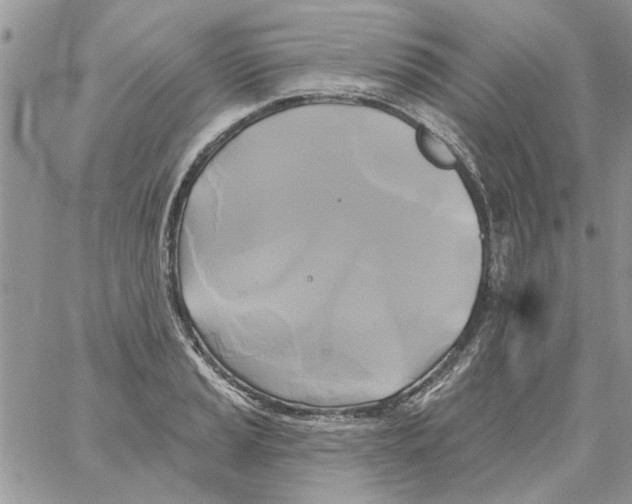 X0000061751037200512302232