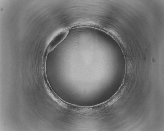 X0000061751038200512302232