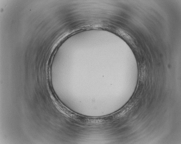 X0000061751039200512302232